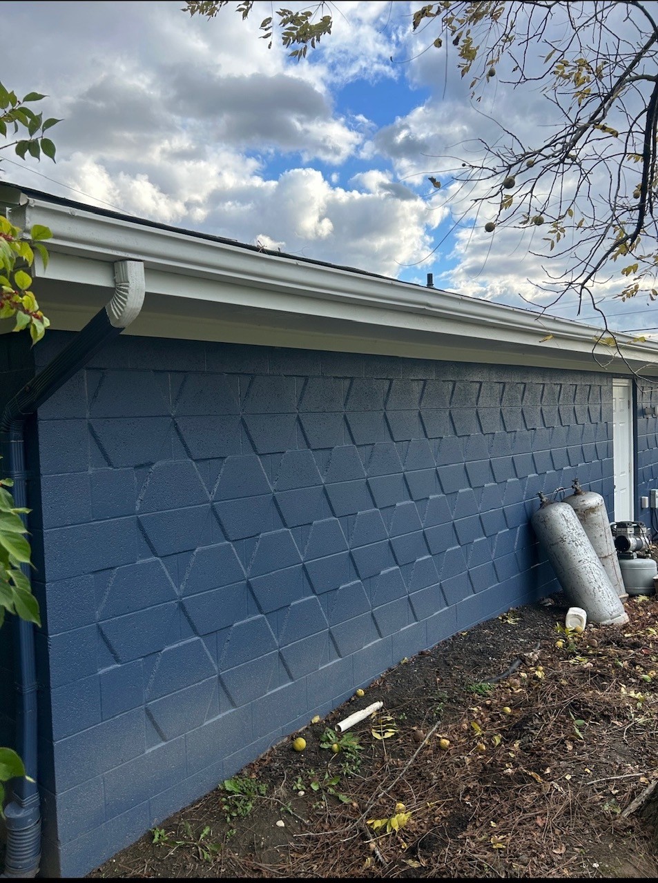 Gutter/Downspout Repair and Cleaning